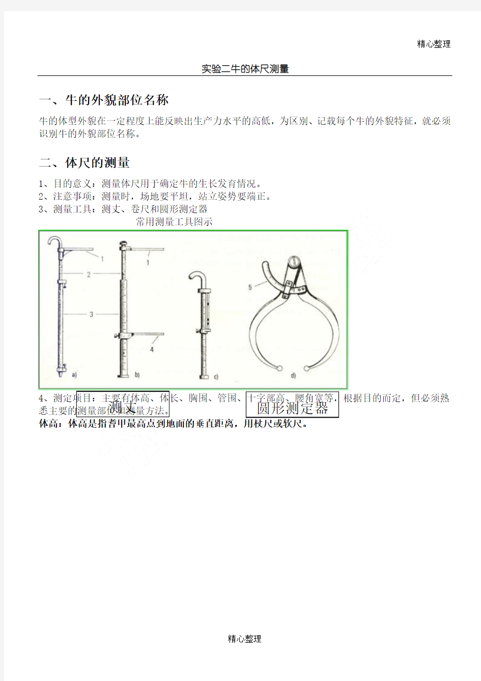 牛生产体尺测量实验