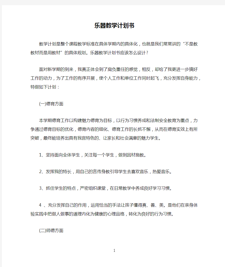 乐器教学计划书