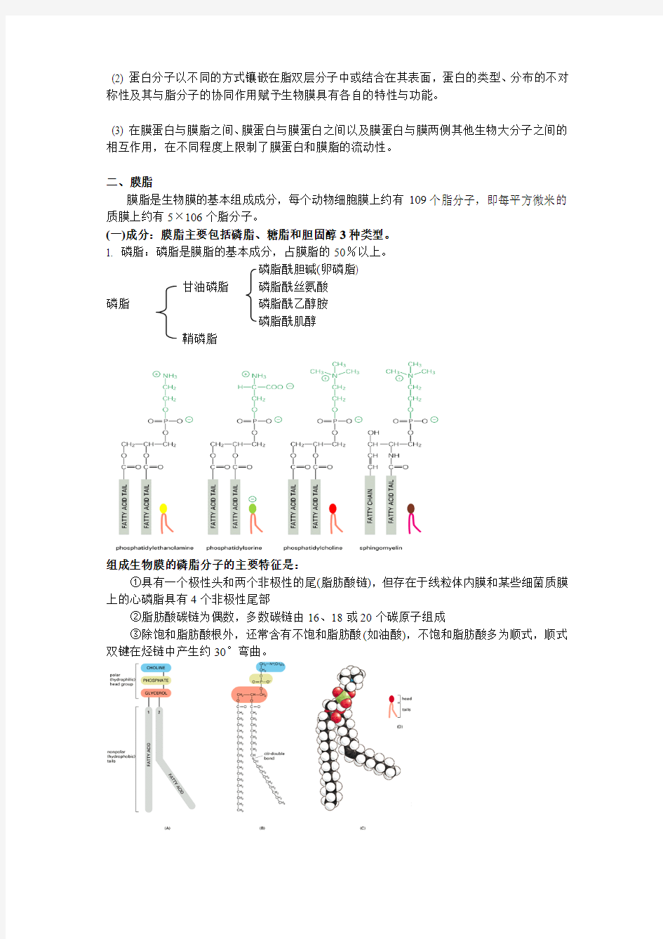 细胞膜与细胞表面