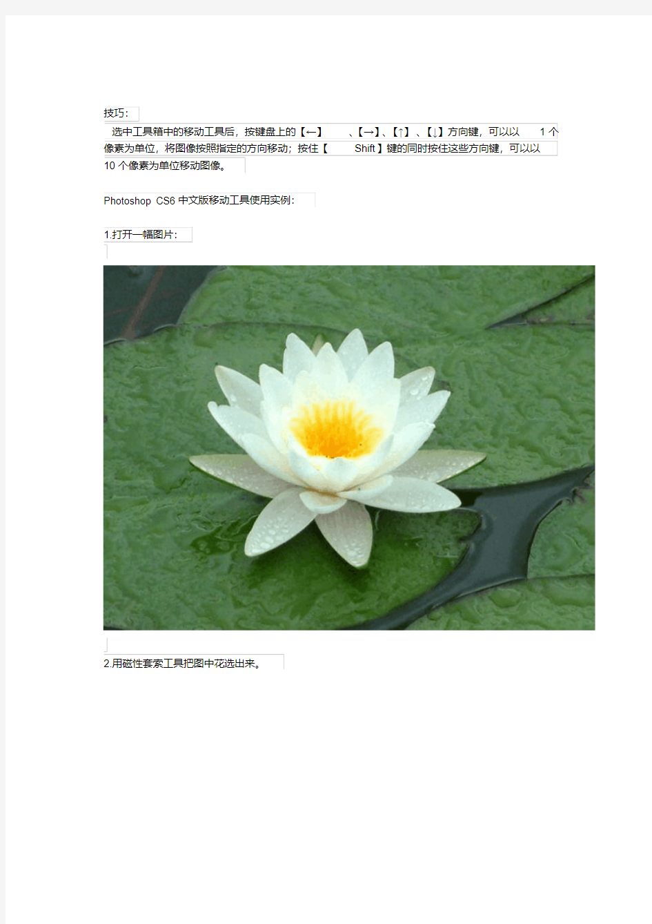 PhotoshopCS6中文版工具使用方法详解教程
