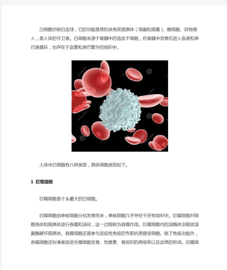 人体八种白细胞类型