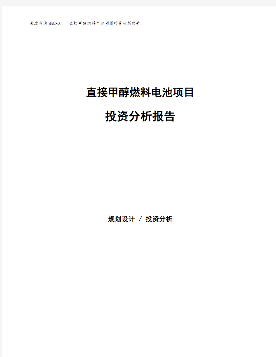 直接甲醇燃料电池项目投资分析报告