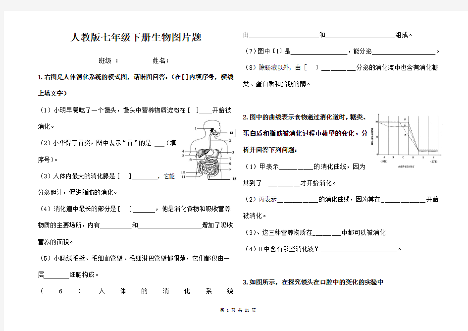 人教版七年级下册生物图片题