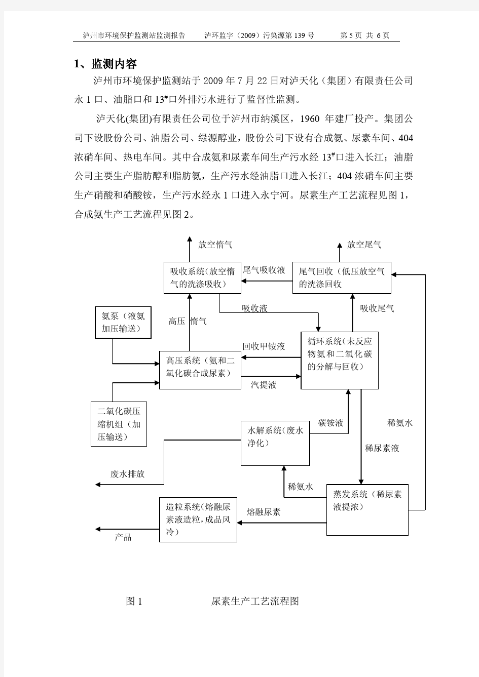 监督性监测报告模板