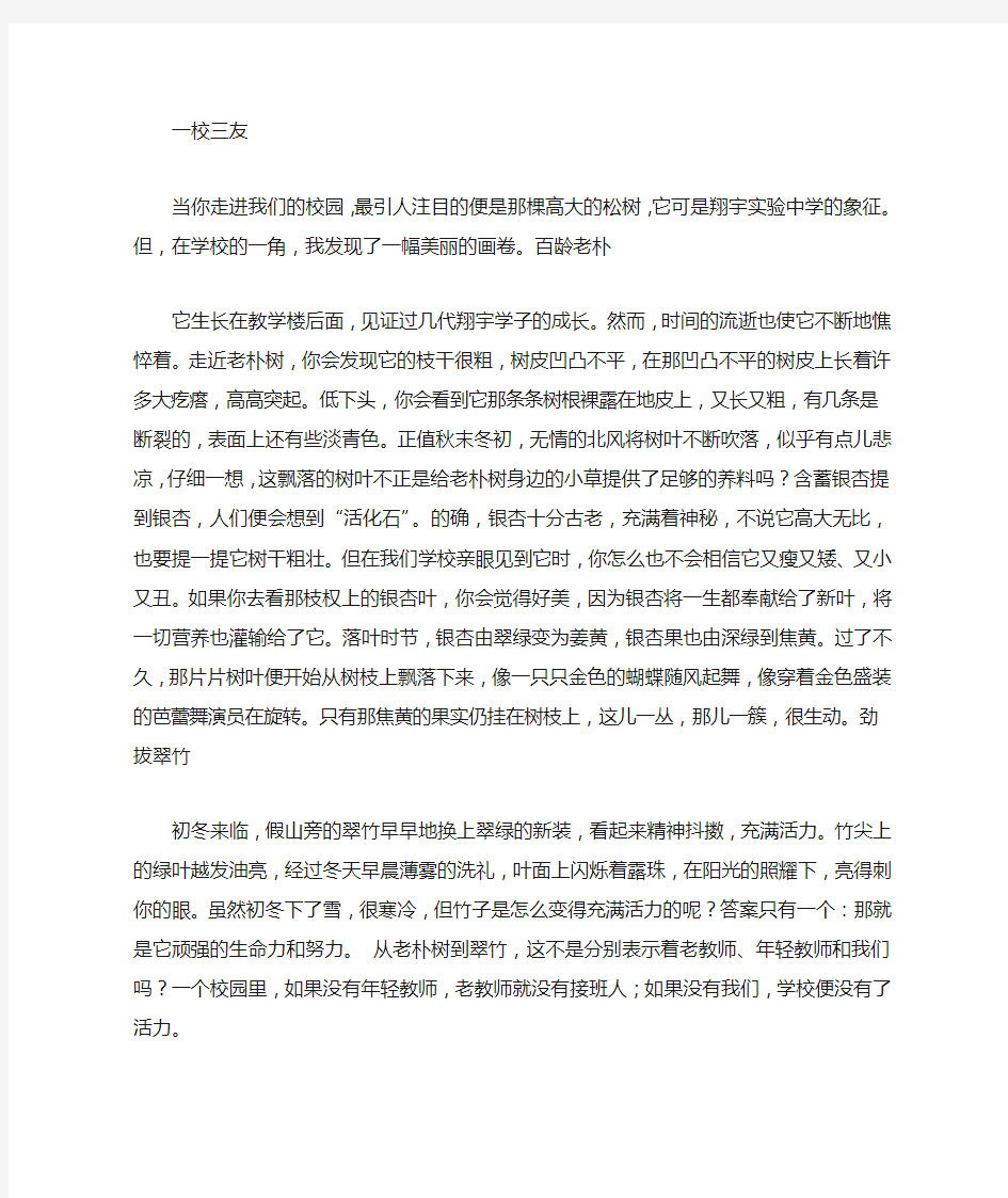 关于学校的说明文作文800字