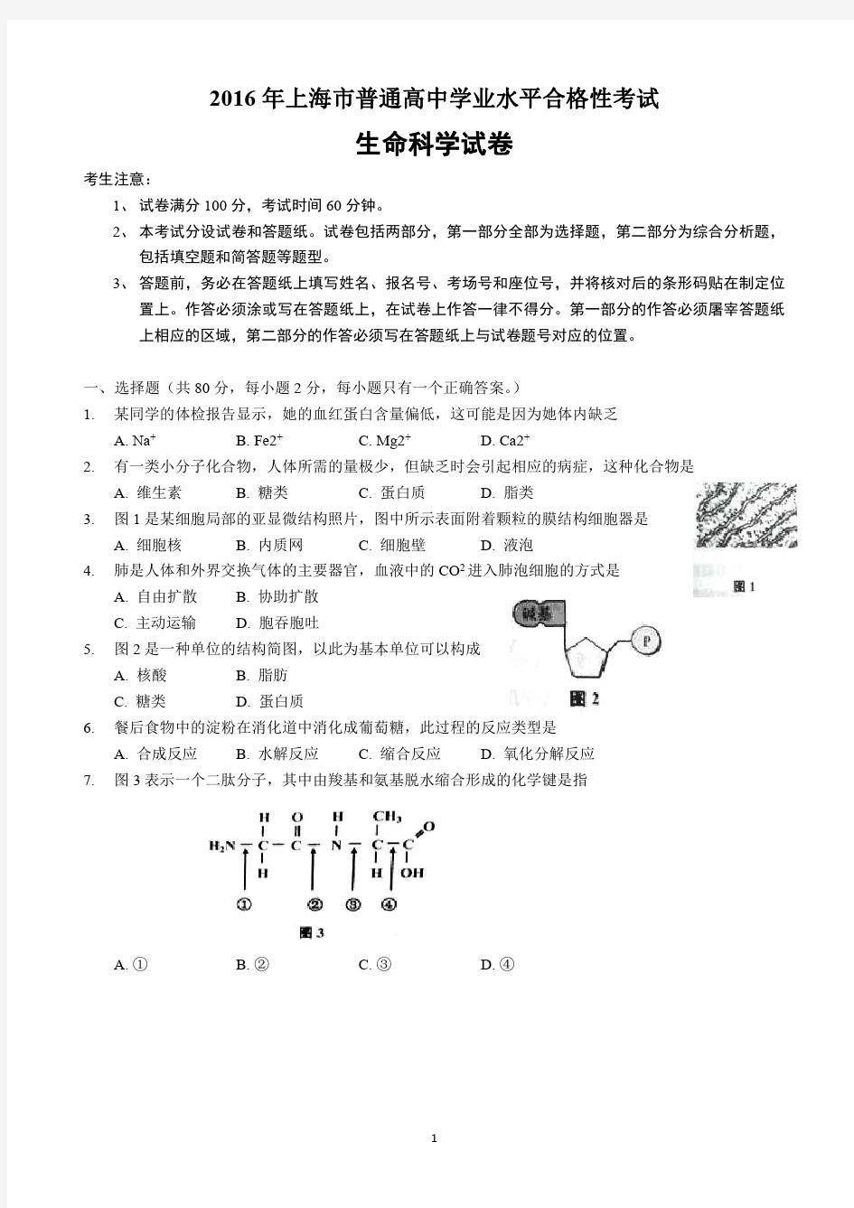 2016年上海市普通高中学业水平合格性考试生命科学试卷