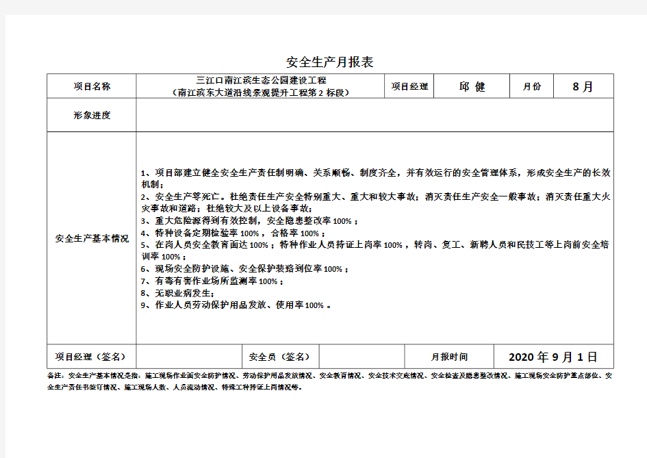 安全生产月报表