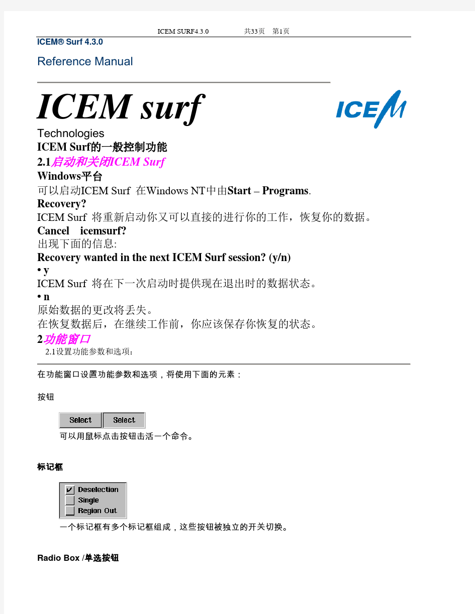 ICEMsurf一般控制功能