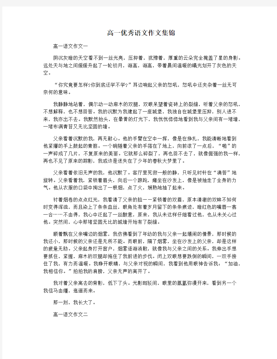 高一优秀语文作文集锦