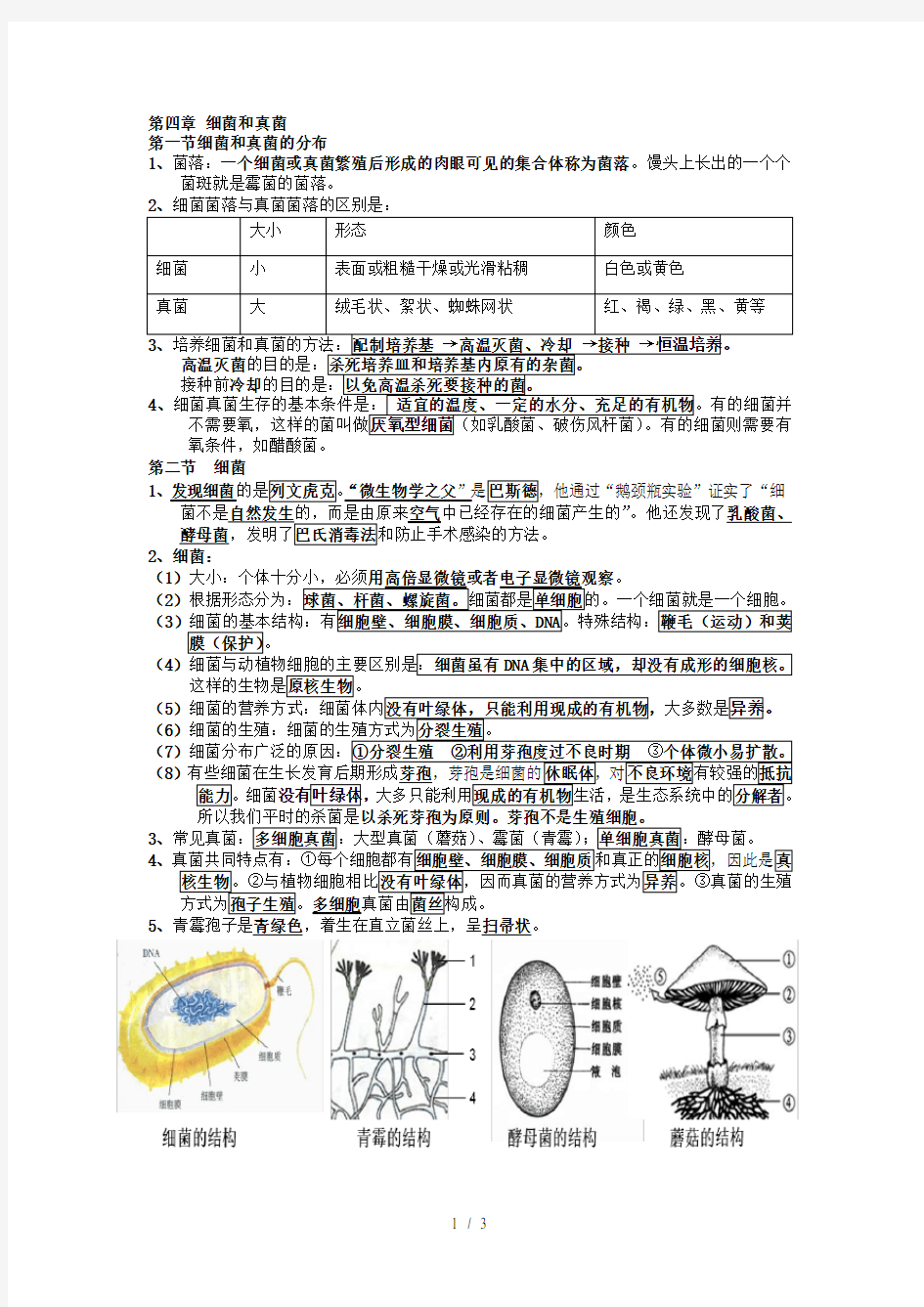 第四章 细菌和真菌——思维导图