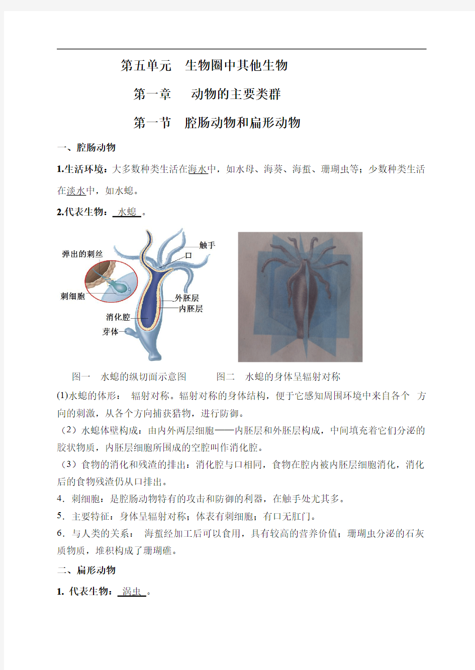 【精编版】人教版初中生物八年级上册复习提纲(图文并茂).pdf