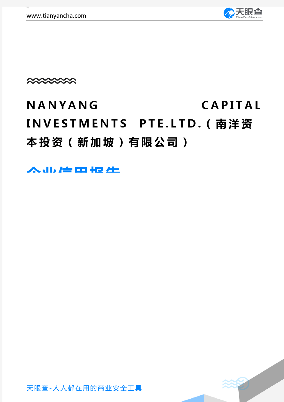 NANYANG CAPITAL INVESTMENTS PTE.LTD.(南洋资本投资(新加坡)有限