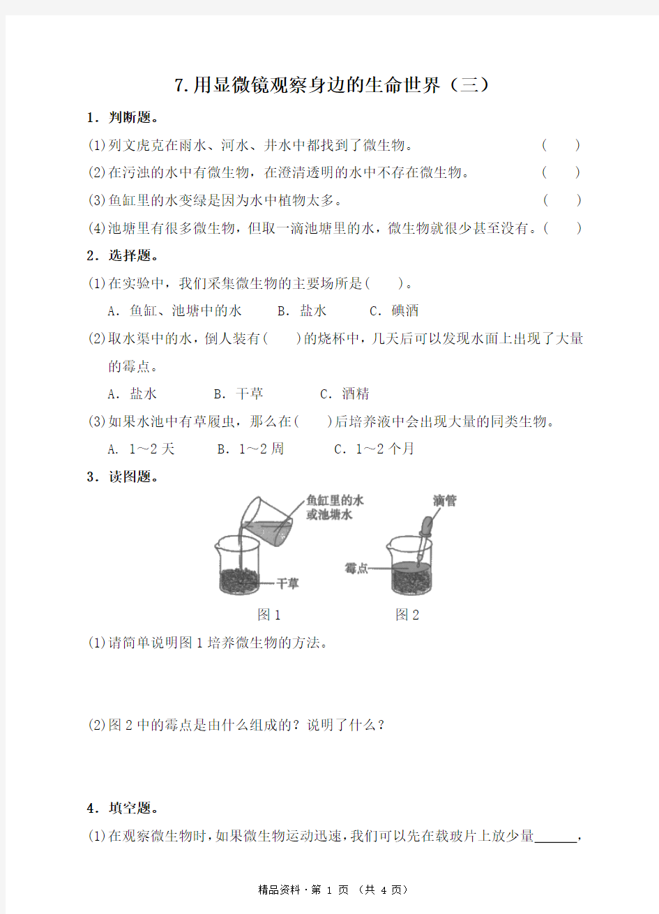 教科版六年级科学下   7.用显微镜观察身边的生命世界(三)同步练习(含答案)