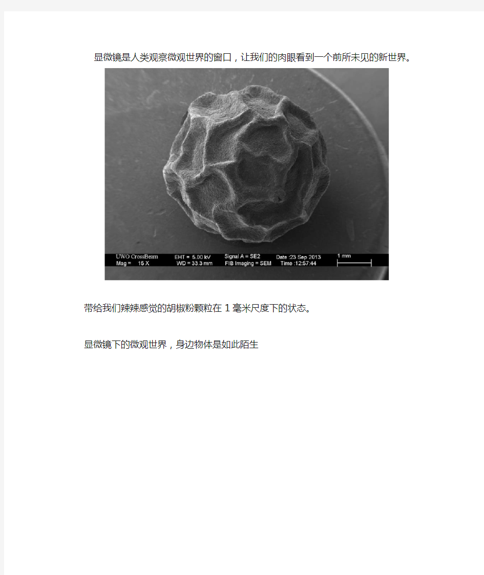 电子显微镜下的微观世界