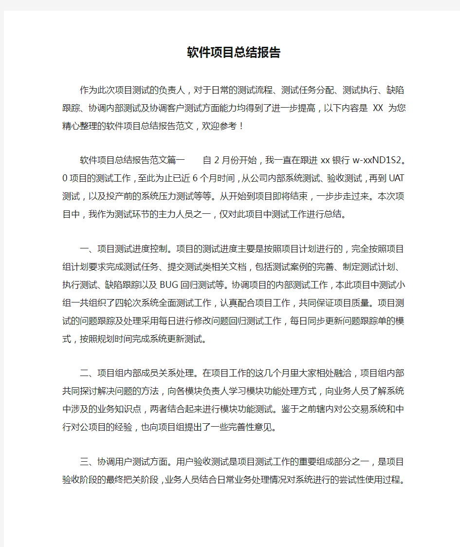 软件项目总结报告