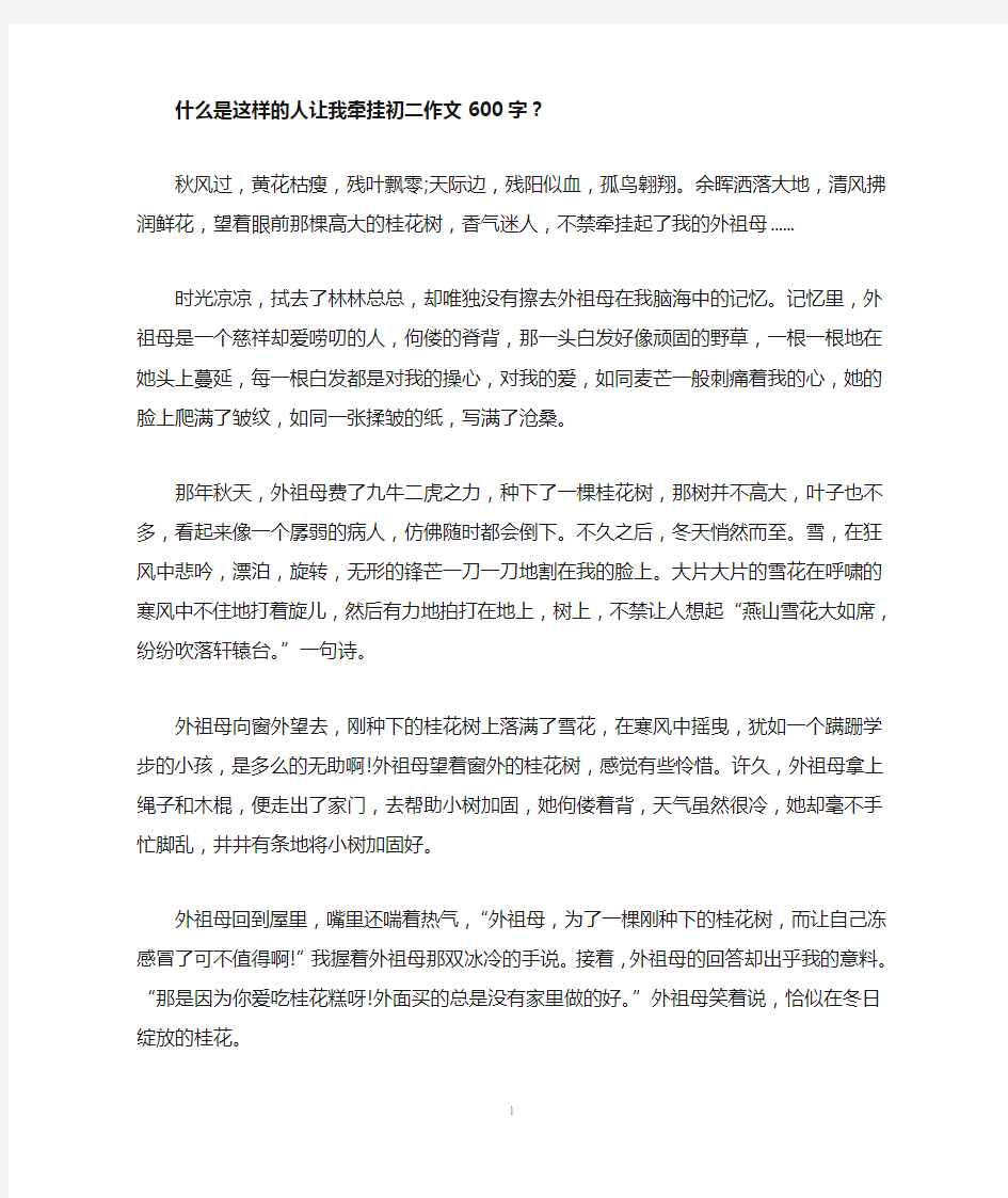 这样的人让我牵挂初二作文600字