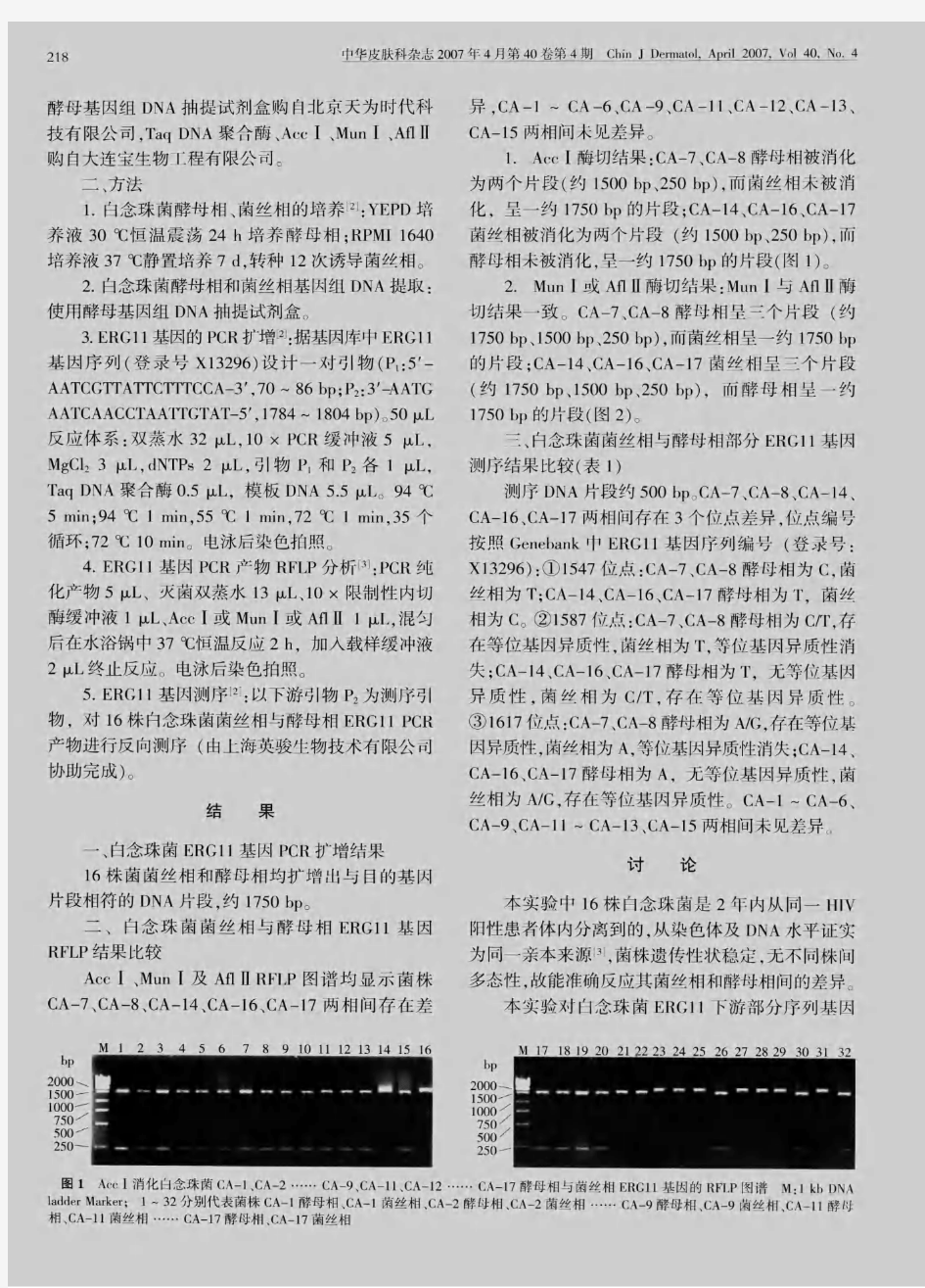 白念珠菌菌丝相与酵母相ERG11基因差异性分析