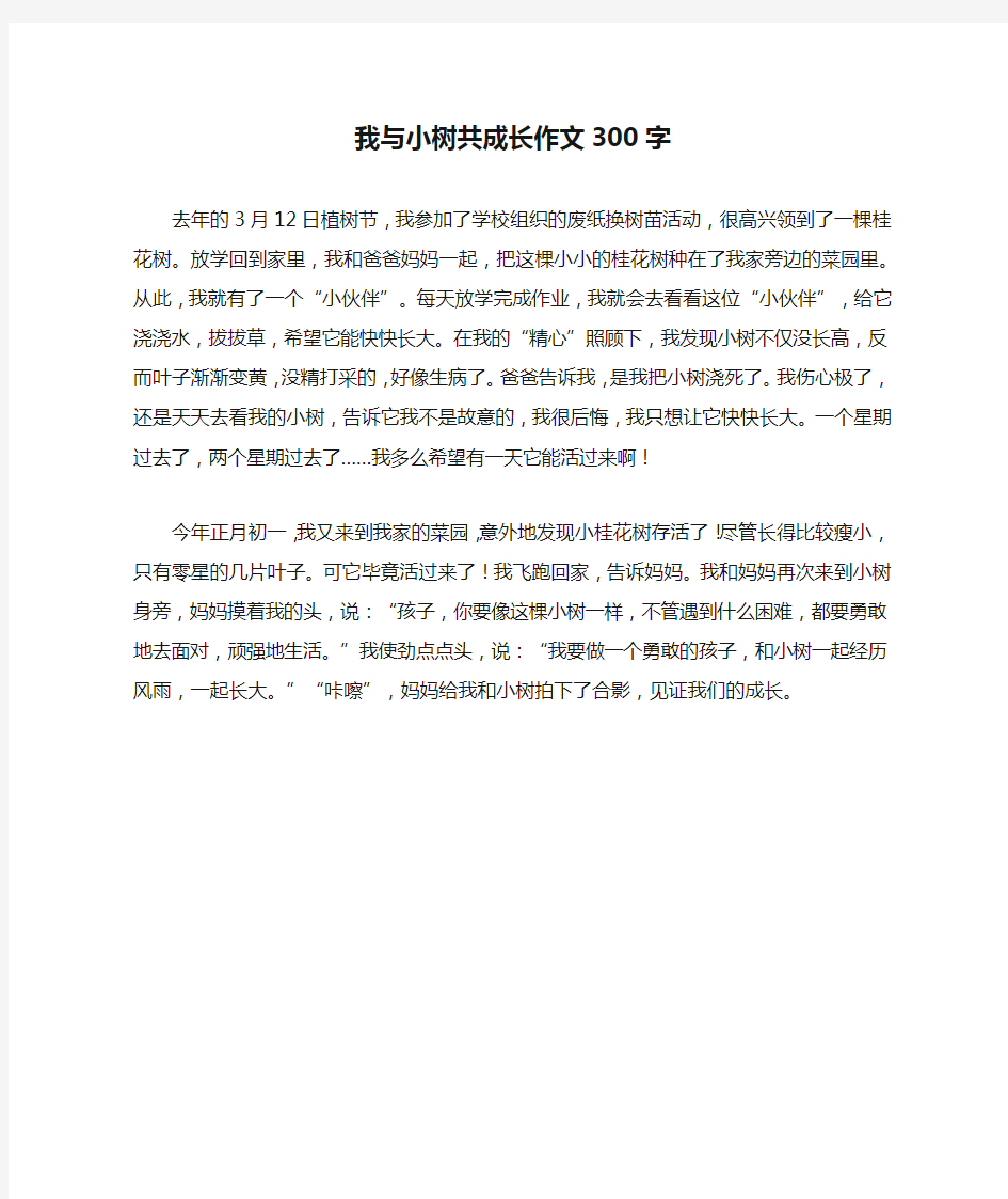 我与小树共成长作文300字