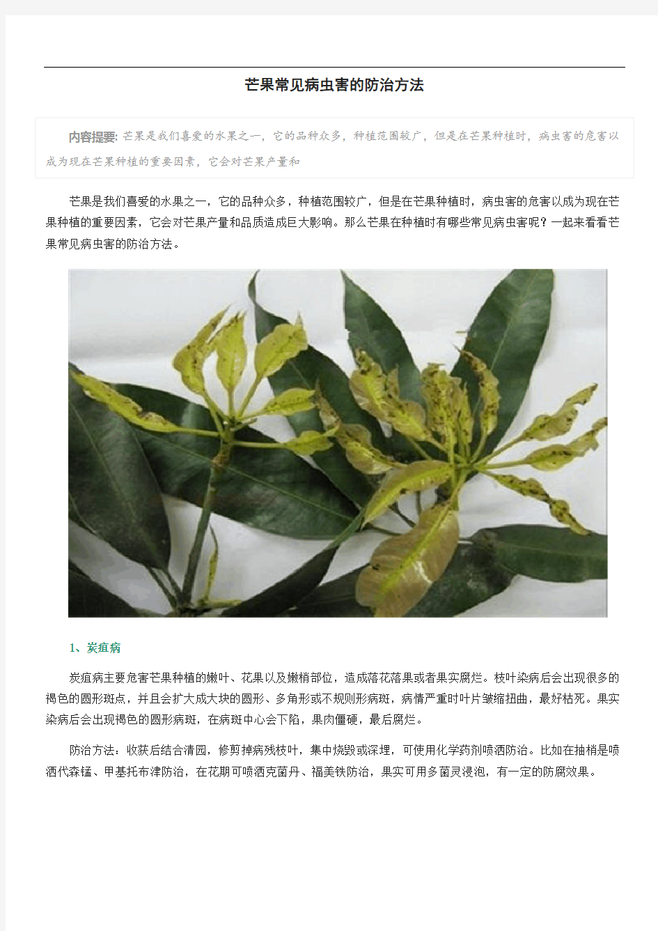 芒果常见病虫害的防治方法