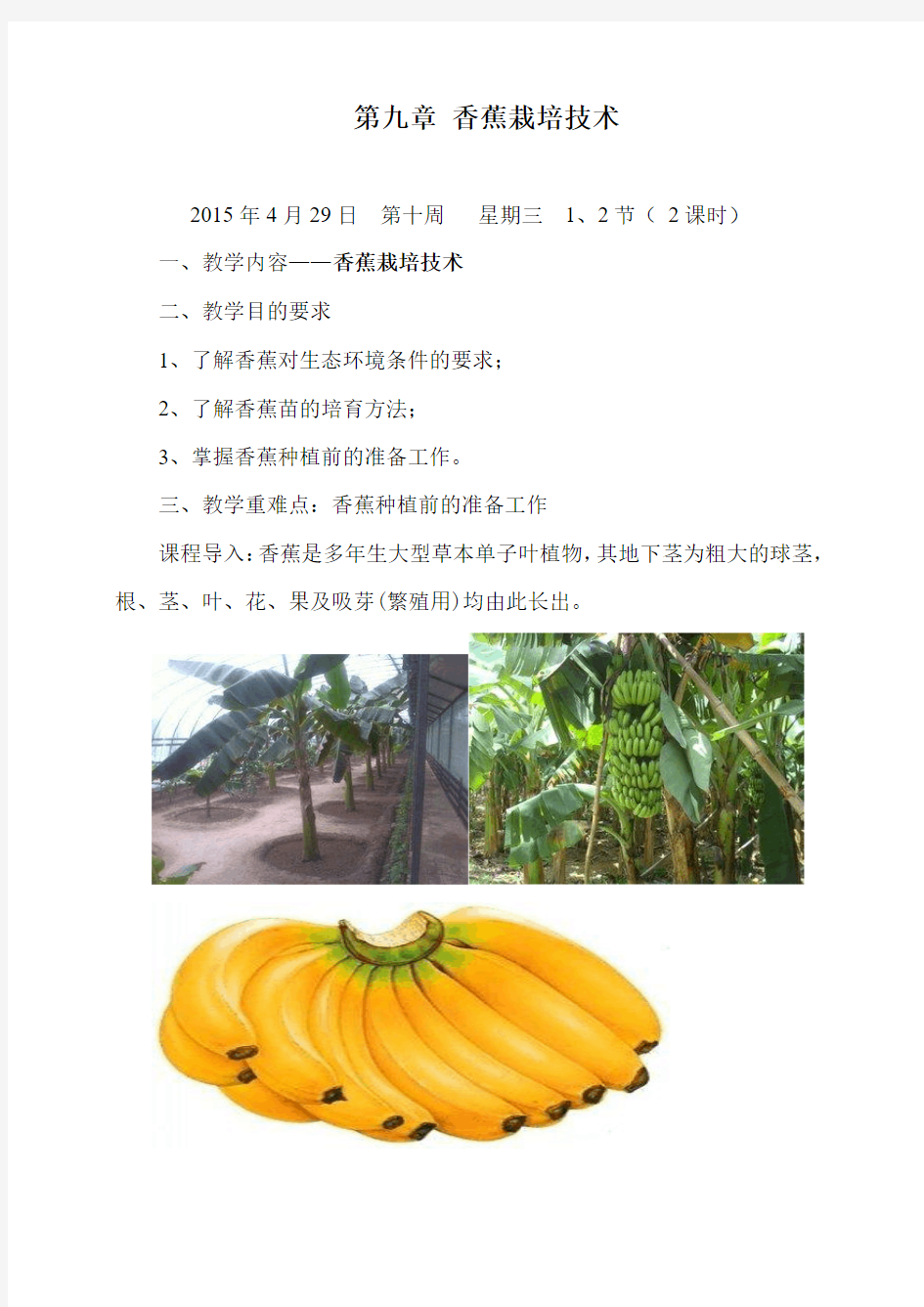 第九章 香蕉栽培技术