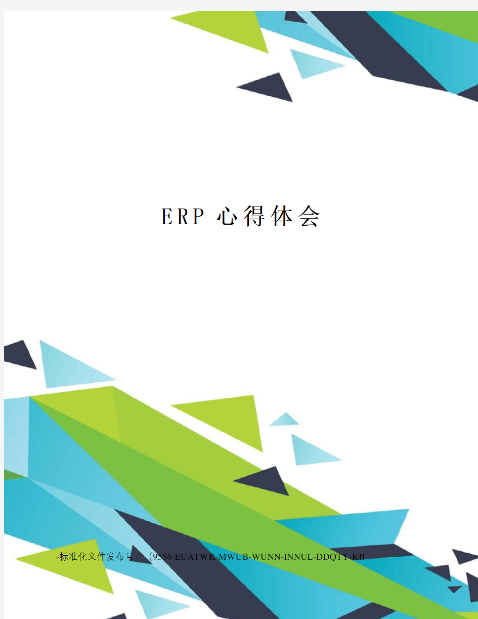 ERP心得体会