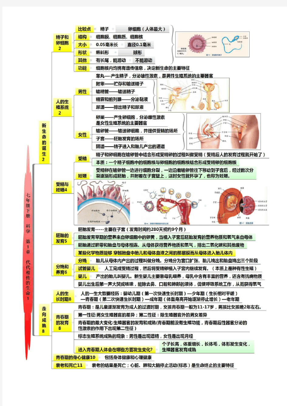 七下第一章思维导图