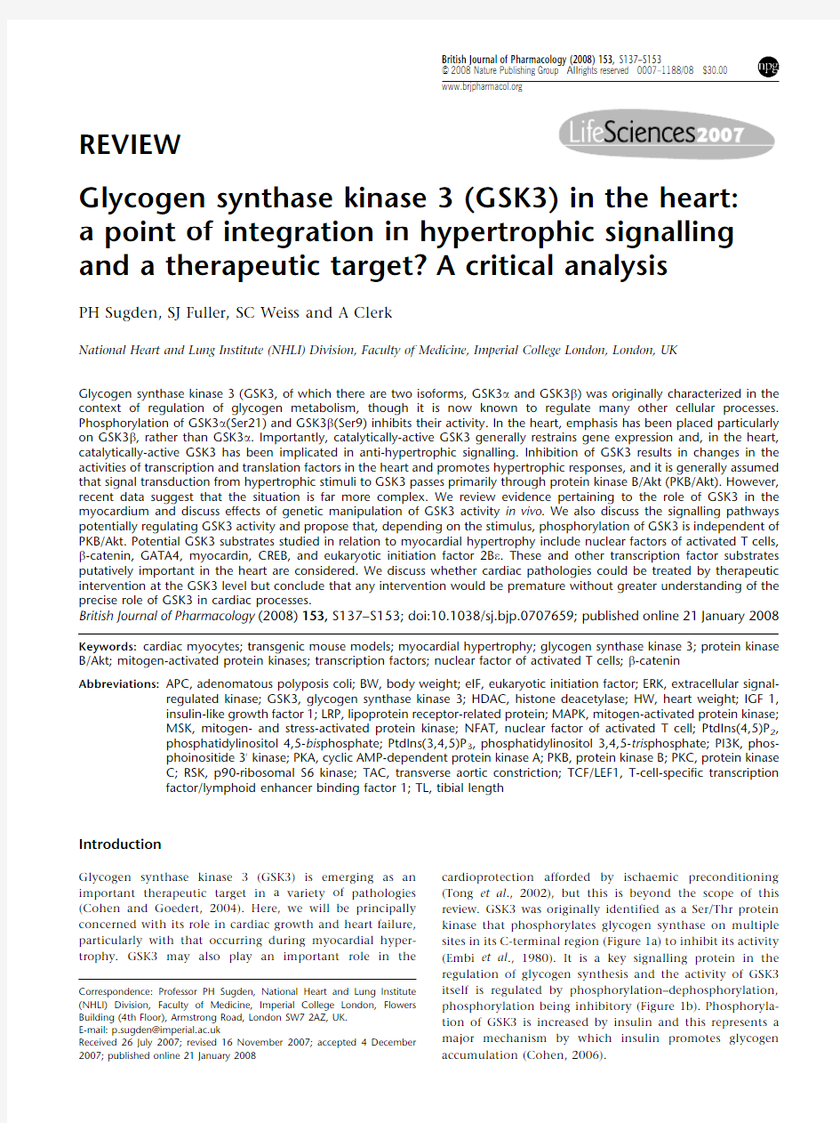 Glycogen synthase kinase 3 (GSK3) in the heart