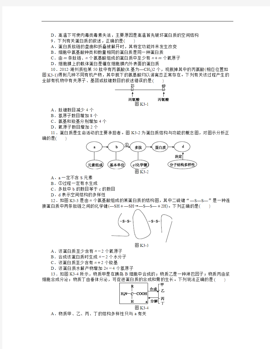 高中生物生命活动的主要承担者——蛋白质(含答案)