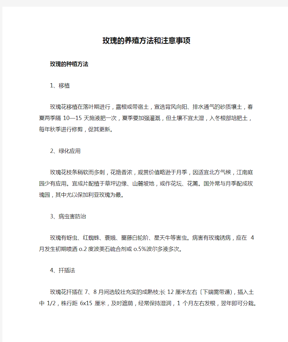 玫瑰的养殖方法和注意事项