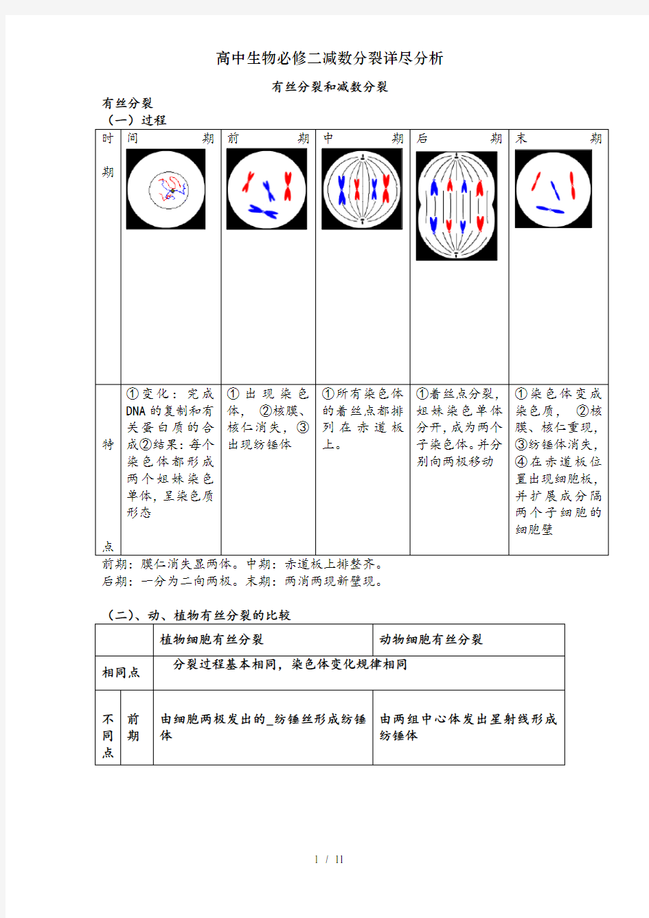 高中生物必修二减数分裂详尽分析