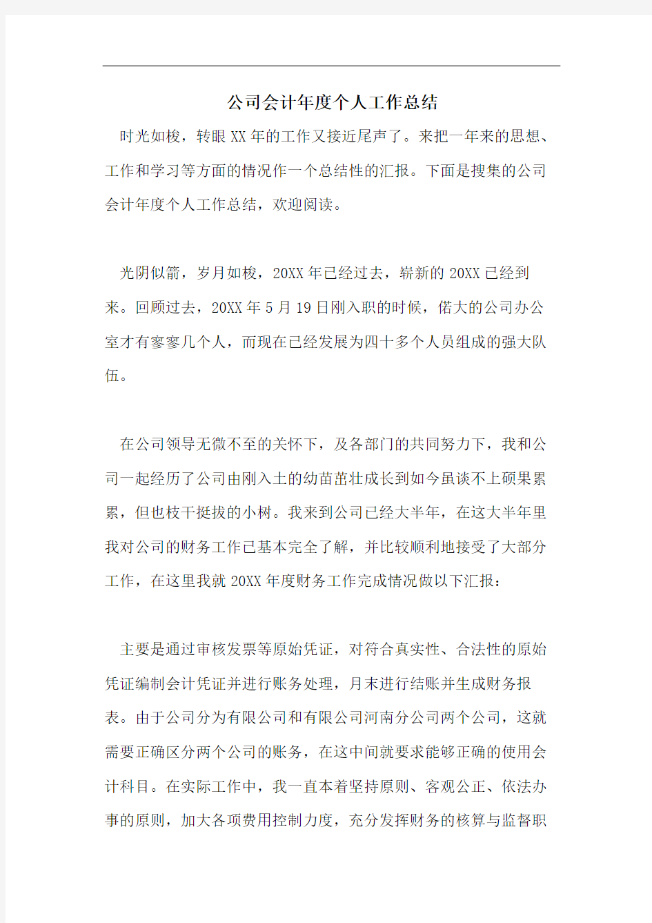 公司会计年度个人工作总结