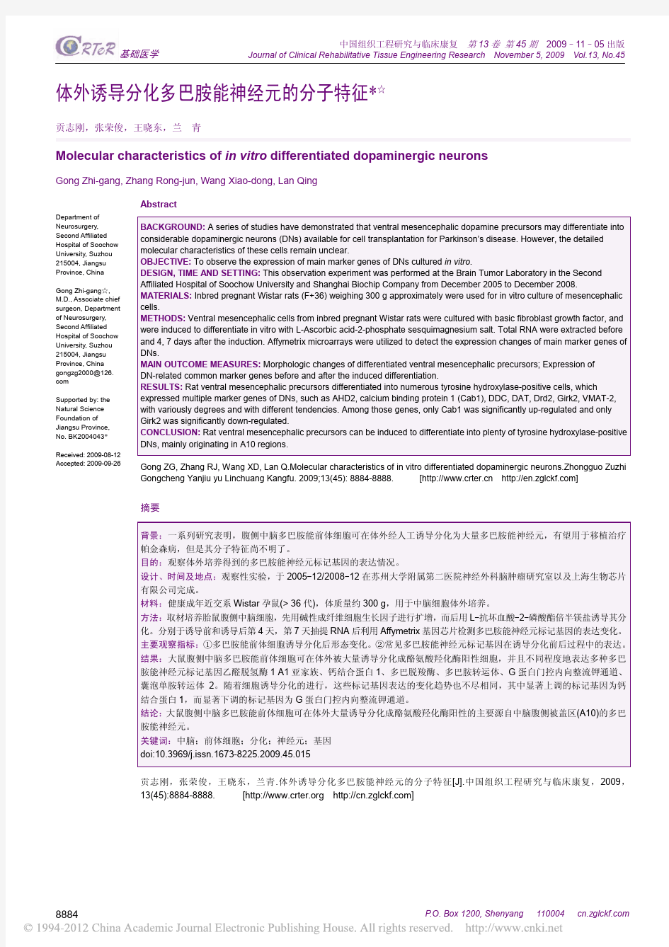 体外诱导分化多巴胺能神经元的分子特征