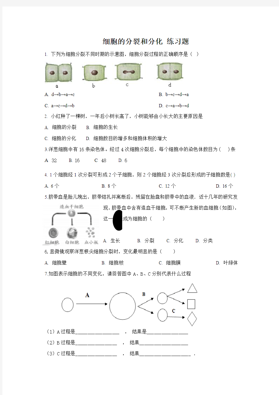 生物作业-细胞的分裂和分化练习题