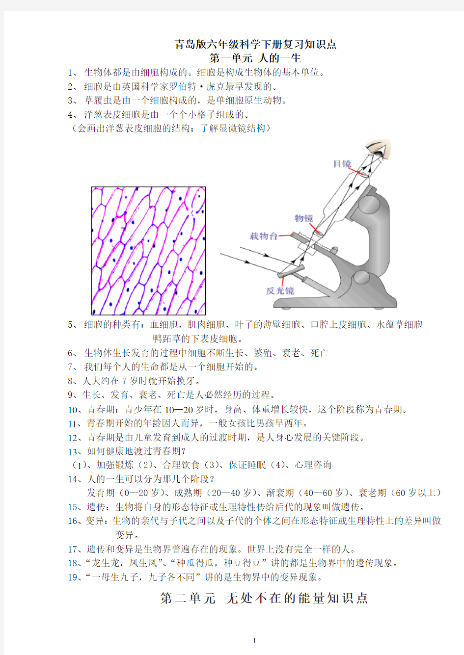 青岛版六年级下册科学知识点总结