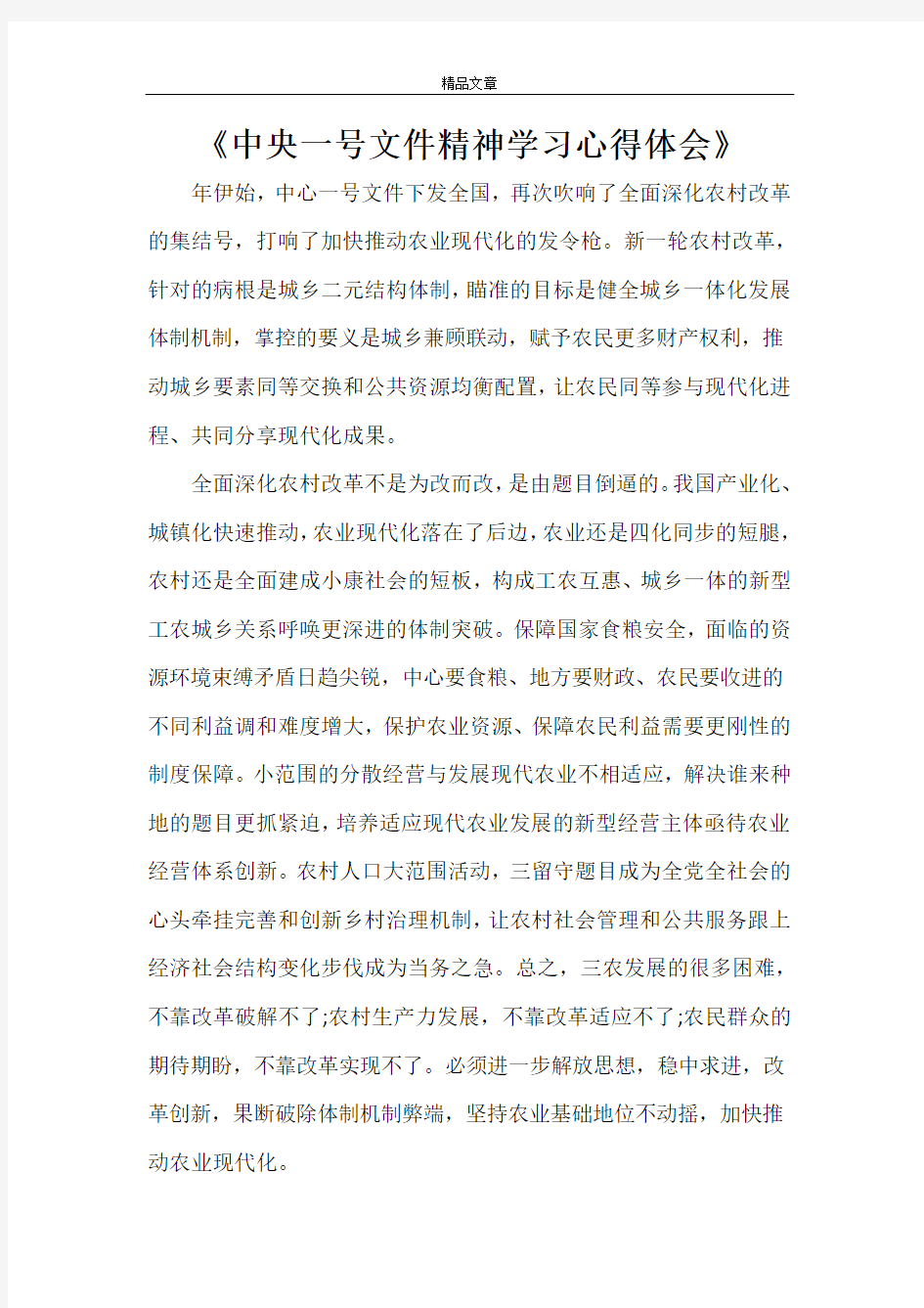 《中央一号文件精神学习心得体会》