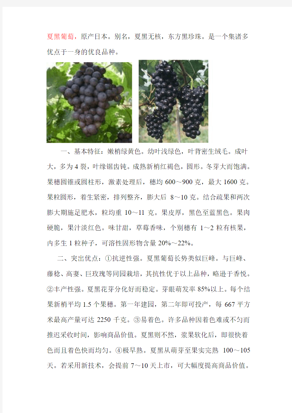 2011年葡萄新品种