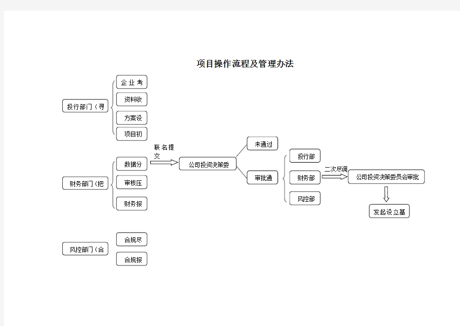 项目操作流程完整版