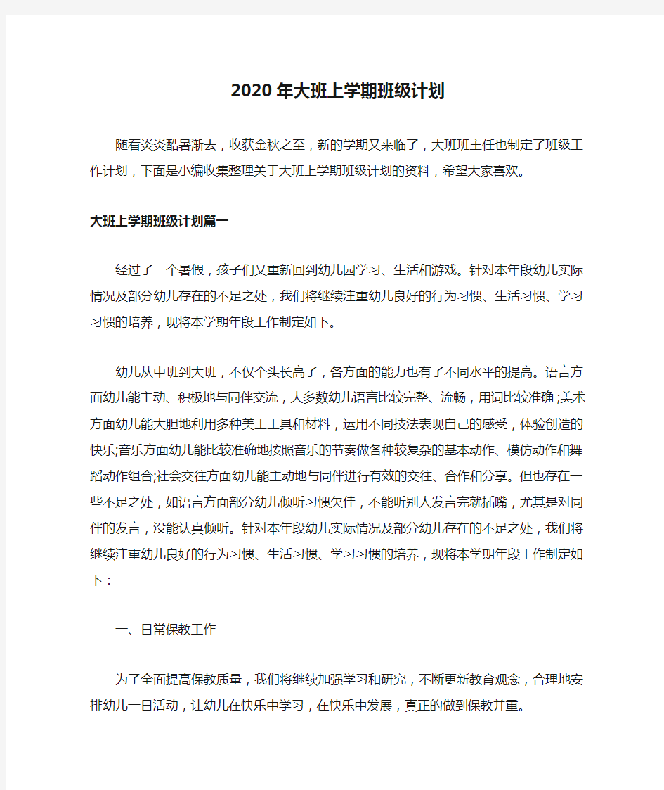 2020年大班上学期班级计划