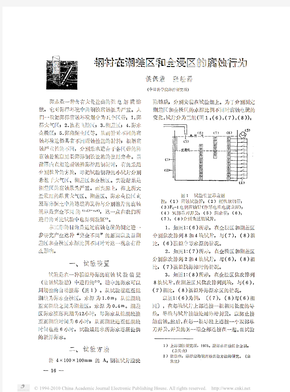 钢材在潮差区和全浸区的腐蚀行为