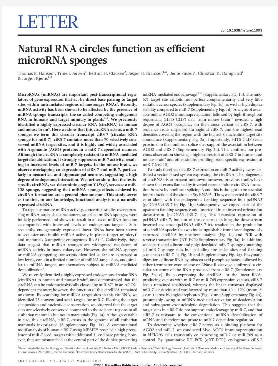 2013 Natural RNA circles function as efficient