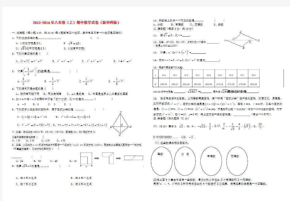 2013-2014年八年级(上)期中数学试卷(新华师版)