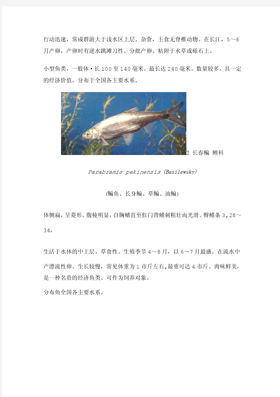河南省常见鱼类