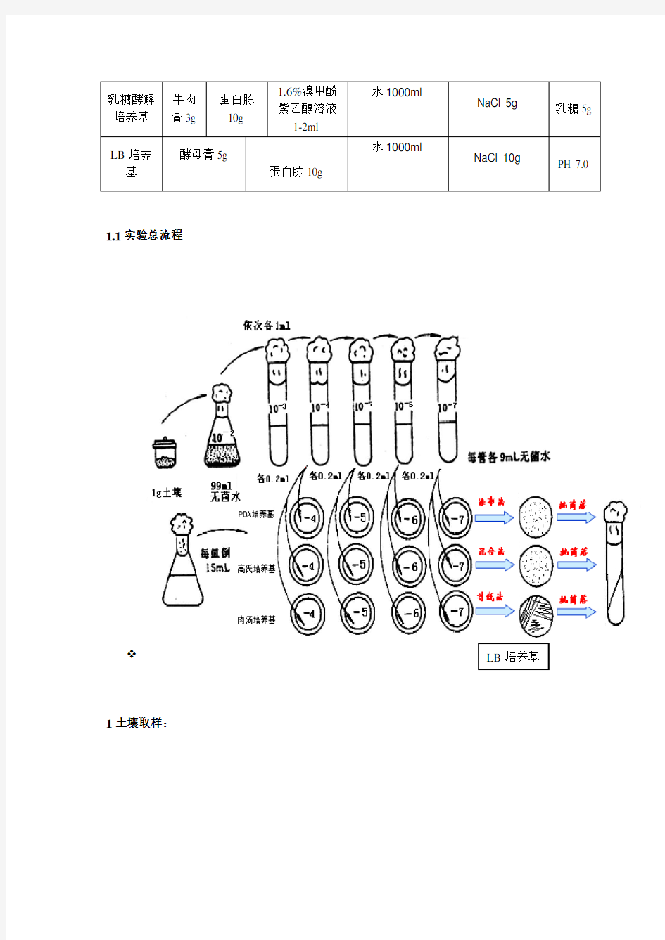 细菌分离及鉴定的实验方案