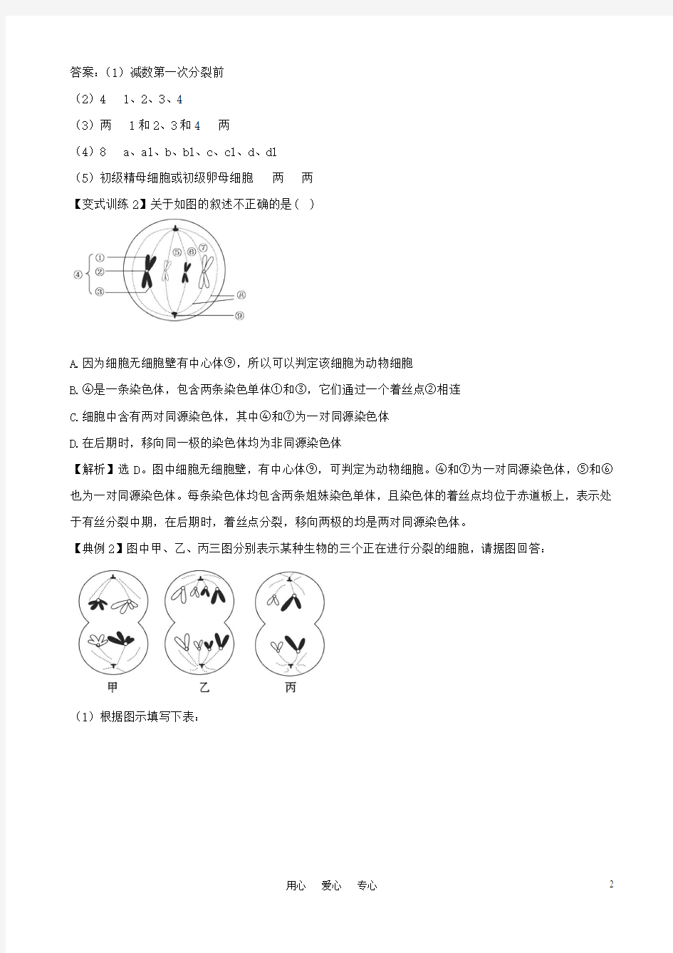 减数分裂和受精作用一 减数分裂