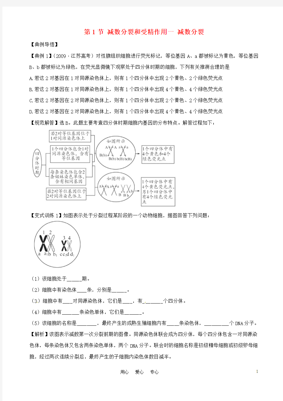 减数分裂和受精作用一 减数分裂