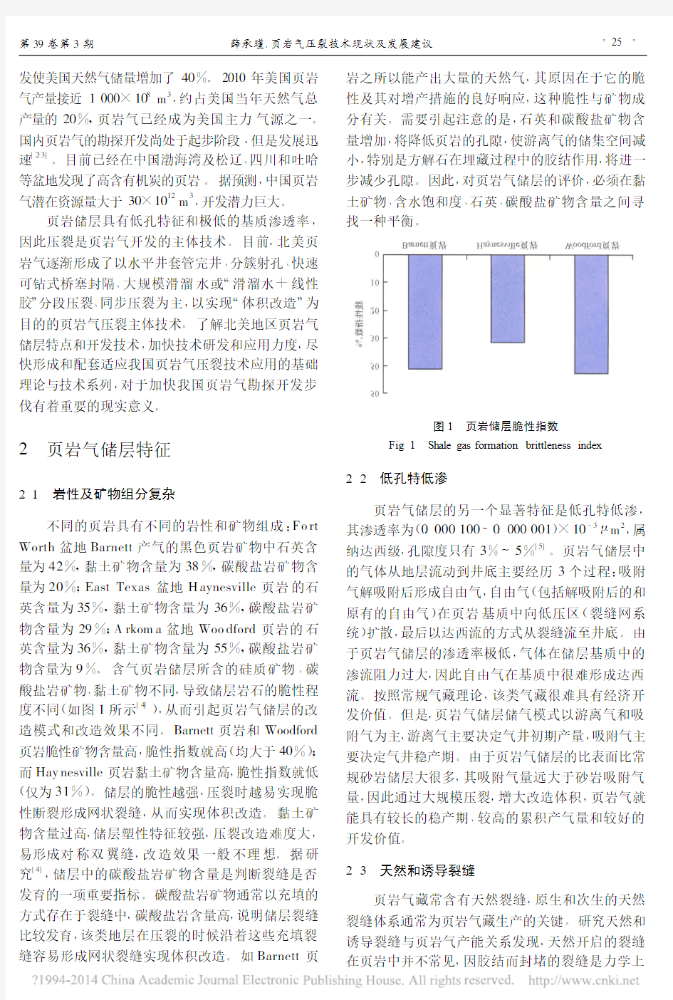 页岩气压裂技术现状及发展建议_薛承瑾