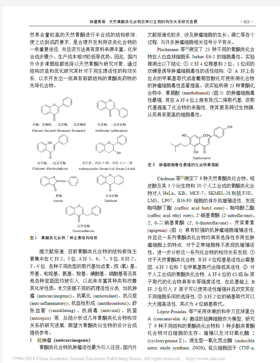 天然黄酮类化合物及其衍生物的构效关系研究进展_钟建青