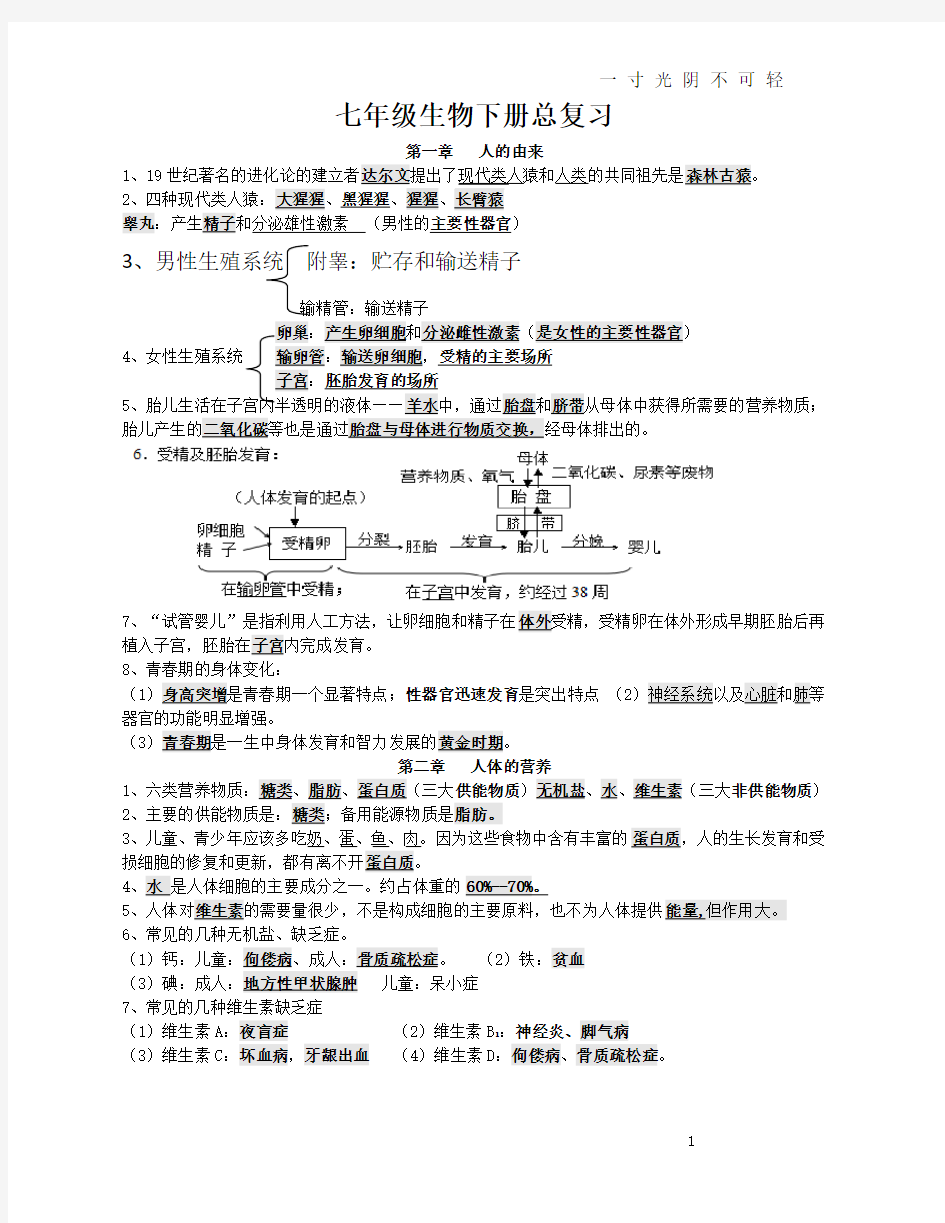 人教版初中七年级下册生物知识点.doc