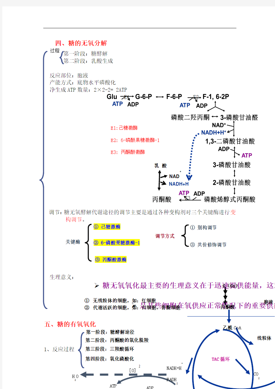 生物化学糖代谢知识点总结