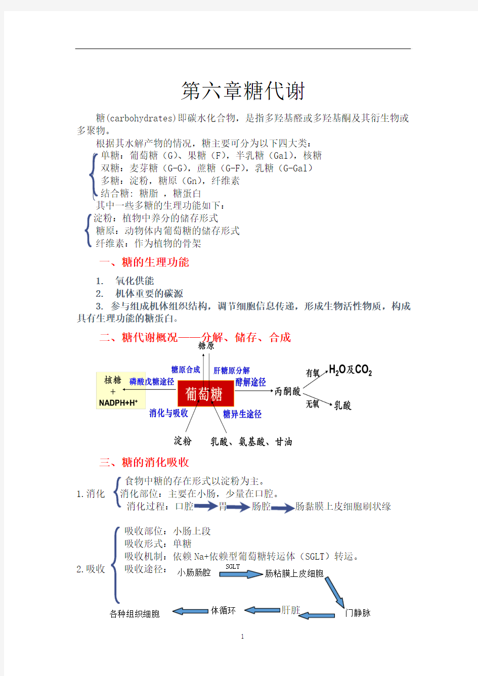 生物化学糖代谢知识点总结